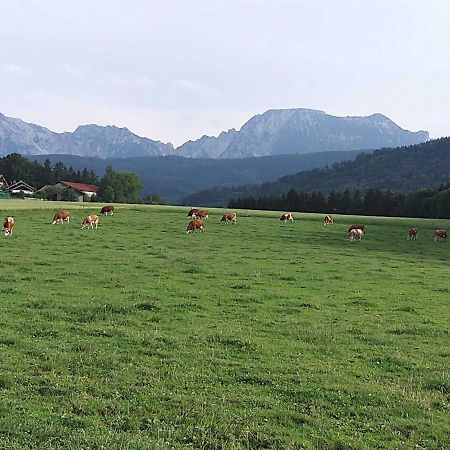 Strasser-Hof Teisendorf Bagian luar foto