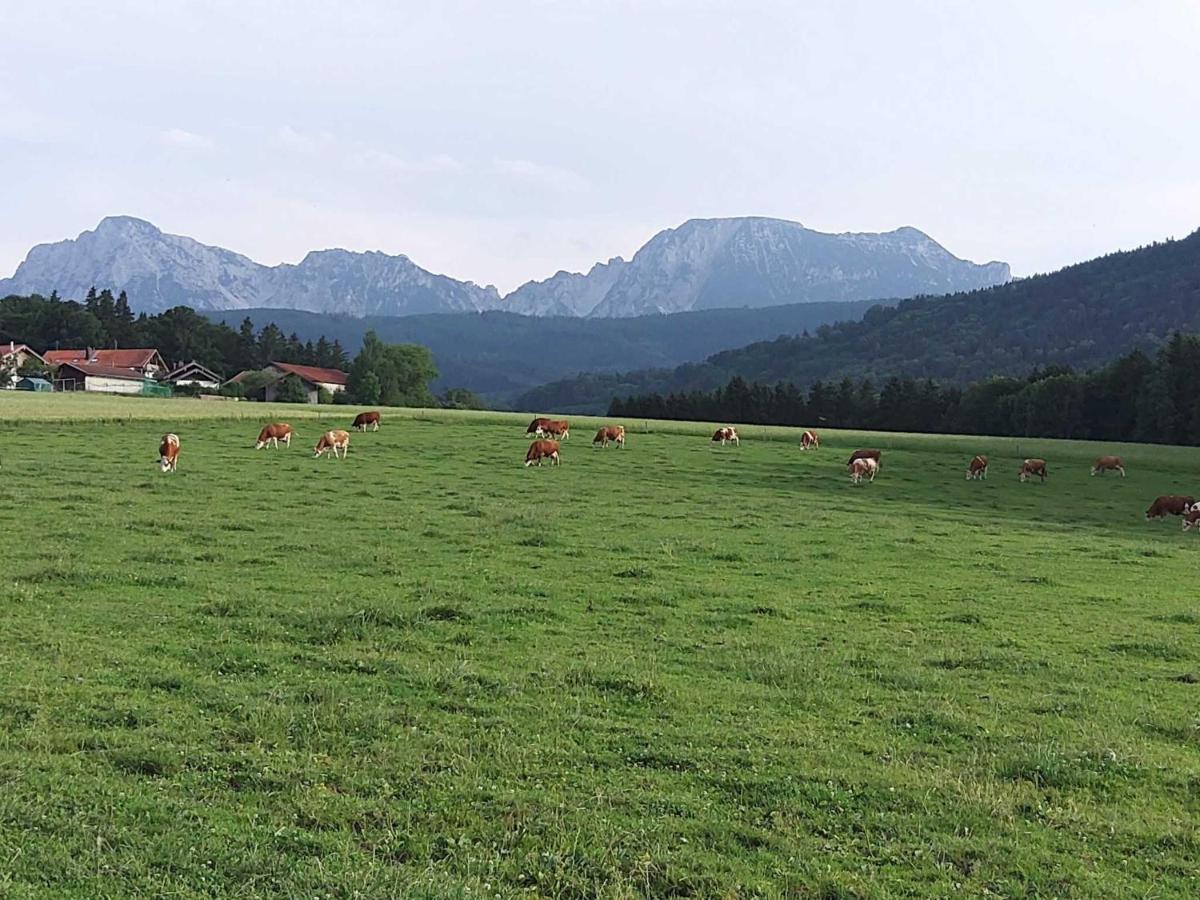 Strasser-Hof Teisendorf Bagian luar foto